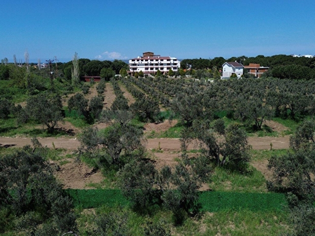GEYİKLİ SAHİL ODUNLUK BÖLGESİNDE İMAR SINIRINDA SATILIK PARSEL