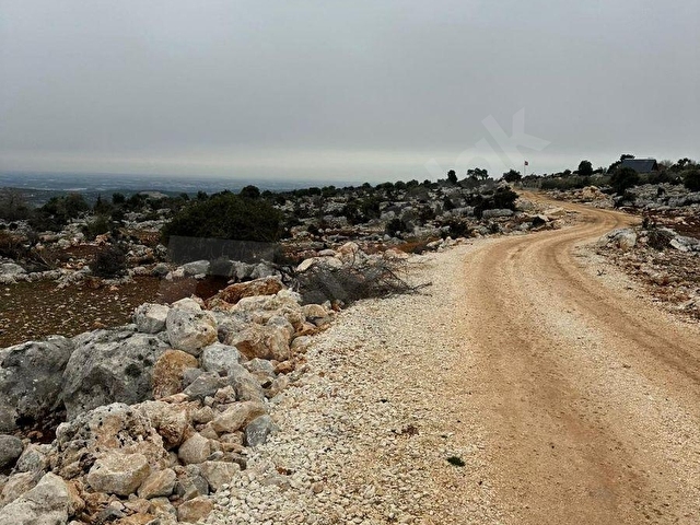 💥💥💥ŞAHMERANDAN TOPAKLI KÖYÜ 59.000 LİK TAVUK ÇİFTLİĞİNE UYGUN SATILIK TARLA💥💥💥 - Görsel 4