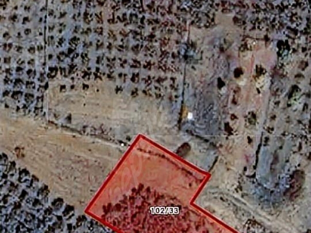 Yerleşim alanına yakın yan parsel ile ortak yolu alınmış bahçe