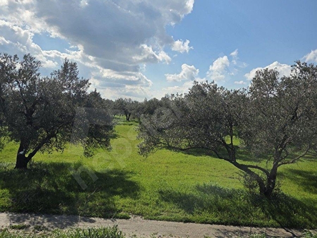 HOBİ BAHÇESİNE UYGUN SÜLEYMANLIDA 3.313m² ZEYTİNLİK - Görsel 13