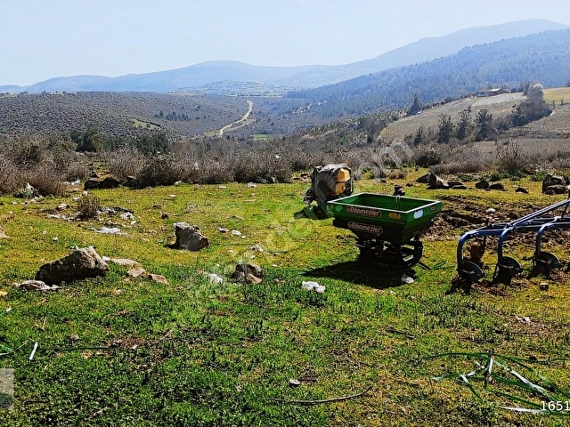 BALIKESİR ALTIEYLÜL BEREKETLİ 507 M2 İKİ KAT İMARLI ARSA - Görsel 2