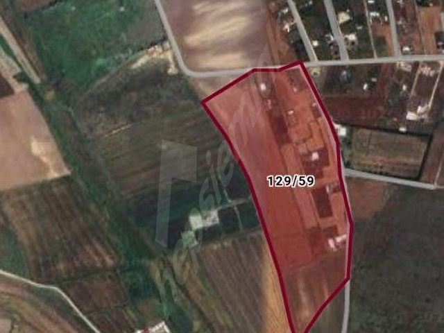 ERKUTUNDAN, ÇATALCADA SATILIK TARLA - Görsel 7