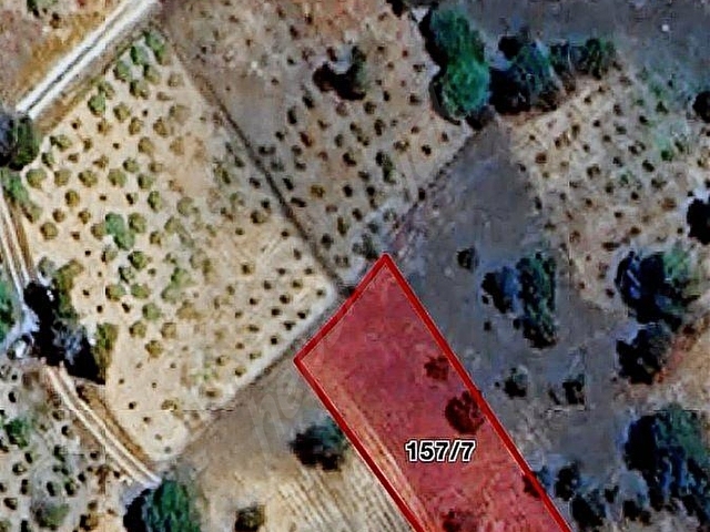 FIRSAT ARAZİLER! AZİZİYE KÖY YERLEŞİM YERİNE YAKIN 1.650m2 - Görsel 13