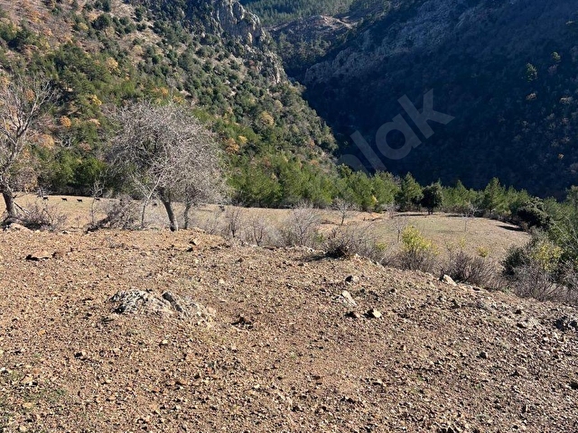 KARAKOÇ GAYRİMENKUL DEN KARANEBİLİ MAH BAĞÖZÜ MEVKİİ SULU TARLA - Görsel 10