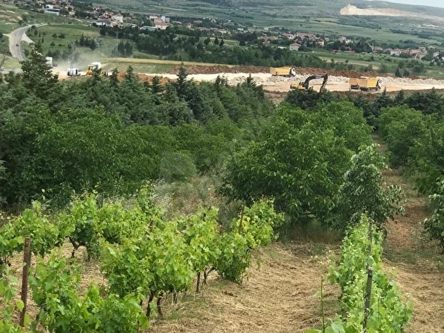 KIRKLARELİ PINARHİSAR KAYNARCADA YOLA CEPHELİ BAKIMLI TARLA - Görsel 9