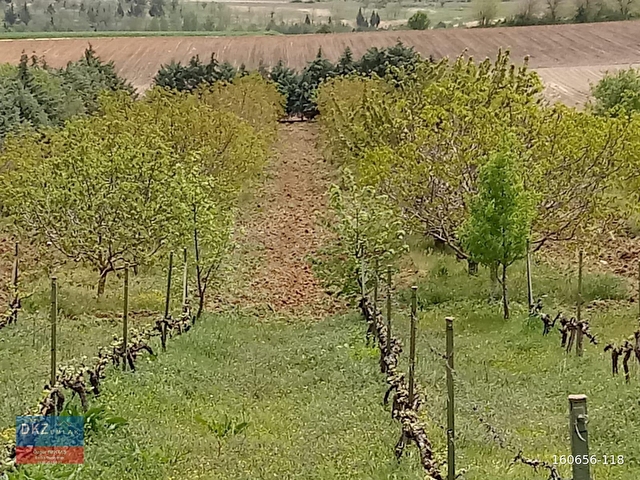 KIRKLARELİ PINARHİSAR KAYNARCADA YOLA CEPHELİ BAKIMLI TARLA - Görsel 5