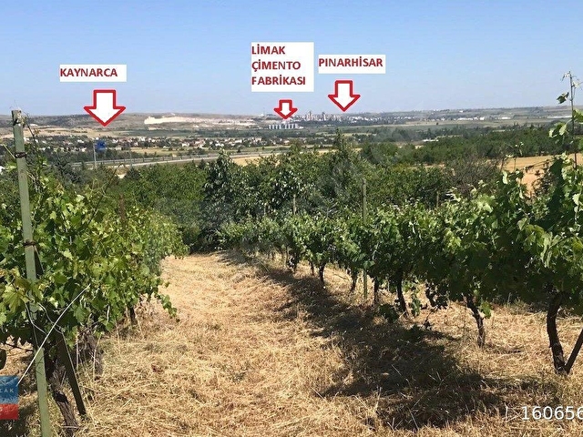 KIRKLARELİ PINARHİSAR KAYNARCADA YOLA CEPHELİ BAKIMLI TARLA
