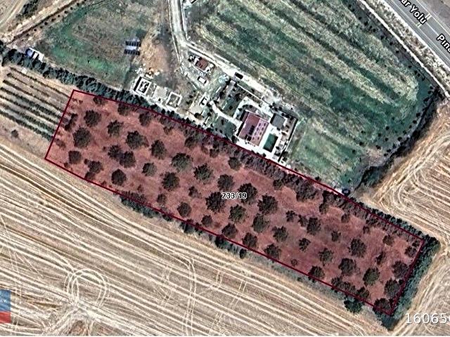 KIRKLARELİ PINARHİSAR KAYNARCADA YOLA CEPHELİ BAKIMLI TARLA - Görsel 21