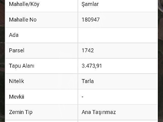 ŞAMLAR DA 117 M2 ARAÇ TAKASINA UYGUN - Görsel 3
