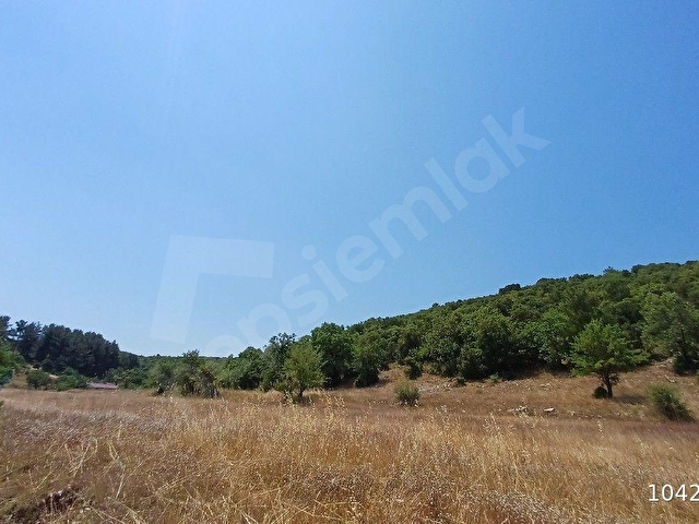 MUĞLA AKKAYA SATILIK ARSA 14.643 - Görsel 2