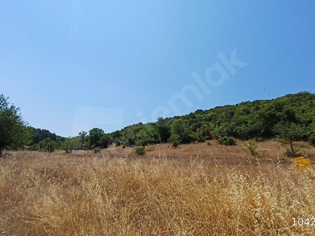 MUĞLA AKKAYA SATILIK ARSA 14.643 - Görsel 3