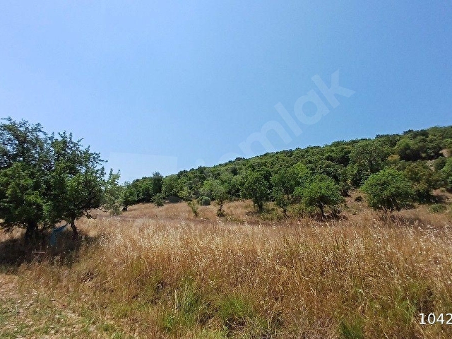 MUĞLA AKKAYA SATILIK ARSA 14.643 - Görsel 4