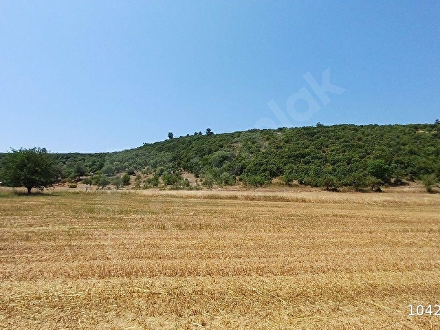 MUĞLA AKKAYA SATILIK ARSA 14.643 - Görsel 10