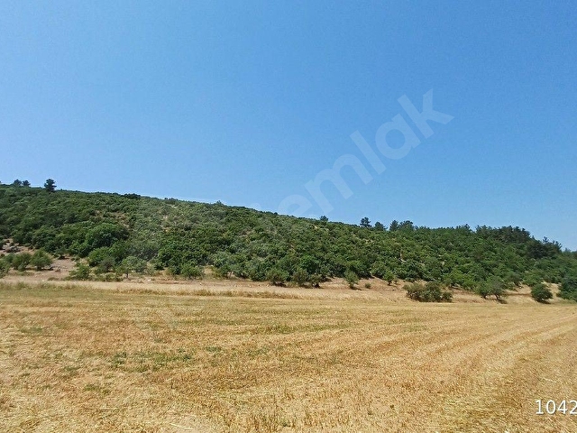 MUĞLA AKKAYA SATILIK ARSA 14.643 - Görsel 11