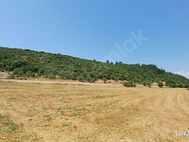 MUĞLA AKKAYA SATILIK ARSA 14.643 - Görsel 13