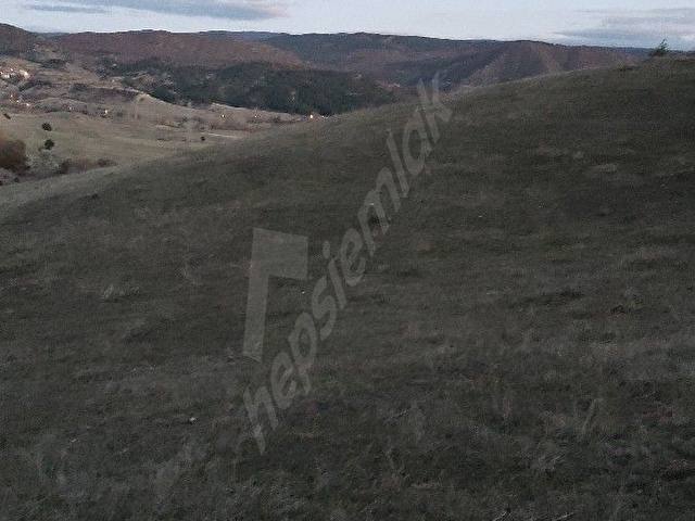 Kastamonu Taşköprü mopak kağıt fabrikası karşısı satılık 2 dönüm tarla - Görsel 25