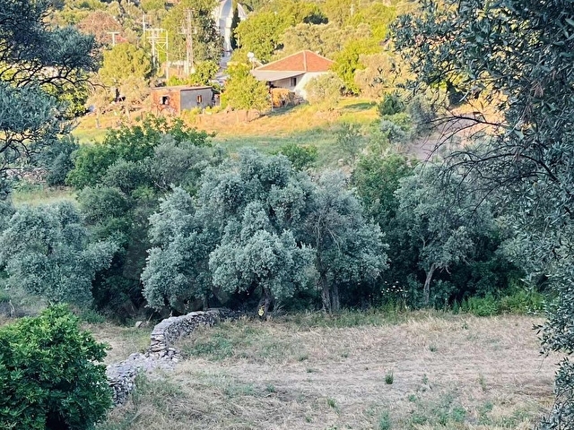 Milas Balcılarda Satılık Arsa - Görsel 10