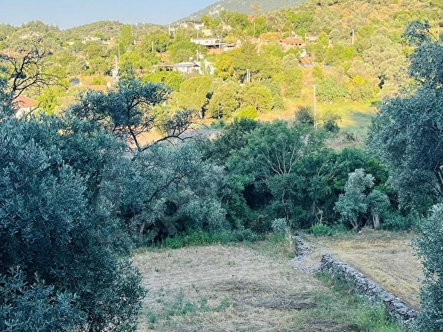 Milas Balcılarda Satılık Arsa - Görsel 5