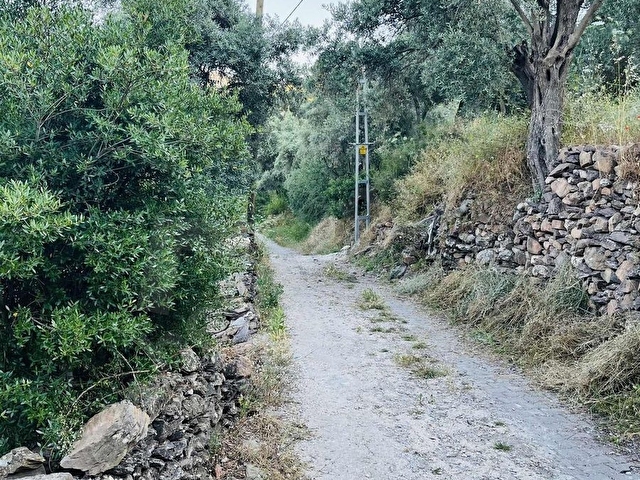 Milas Balcılarda Satılık Arsa - Görsel 2