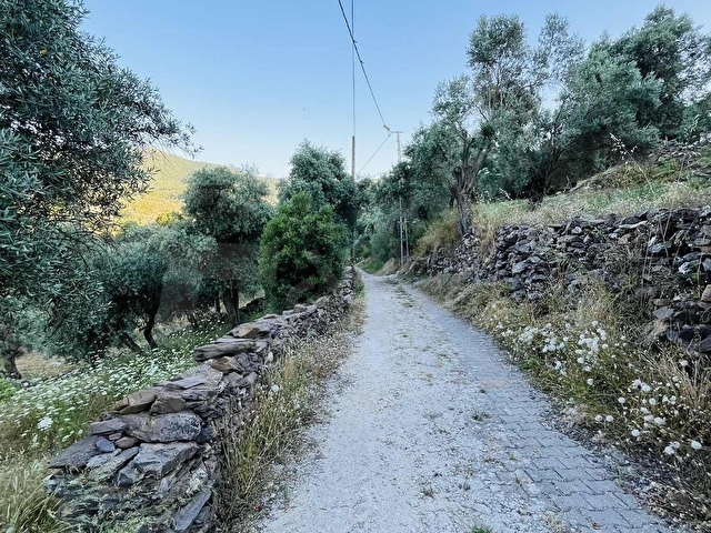 Milas Balcılarda Satılık Arsa - Görsel 23