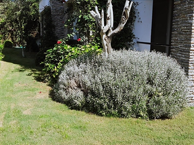 Bodrum Ortakent Acıbadem Ted yakını ferah 3+1 Satılık  Bahçe Katı - Görsel 8