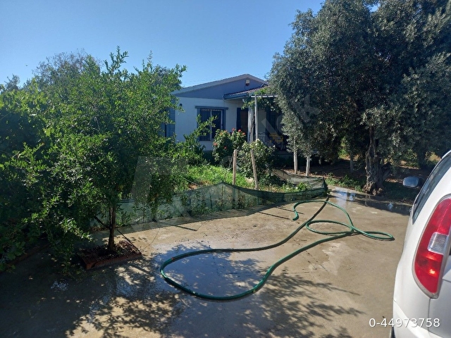 SAHİBİNDEN ACELE SATILIK izmir Kemalpaşa örende 1600m2 asfalt cepheli içinde 2+1 ev BAVULUNU AL GEL