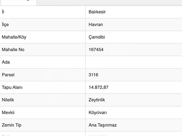 HAVRAN ÇAMDİBİNDE YOLA CEPHELİ ÇEVRİLİ ~200 AĞAÇLI ZEYTİNLİK - Görsel 9