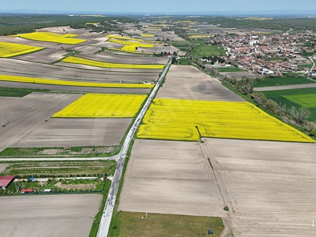 BABAESKİ MÜSELLİM DE 2991 M2 ASFALT CEPHE SATILIK TARLA - Görsel 16