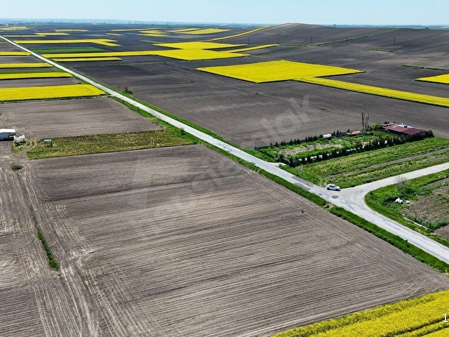 BABAESKİ MÜSELLİM DE 2991 M2 ASFALT CEPHE SATILIK TARLA - Görsel 20