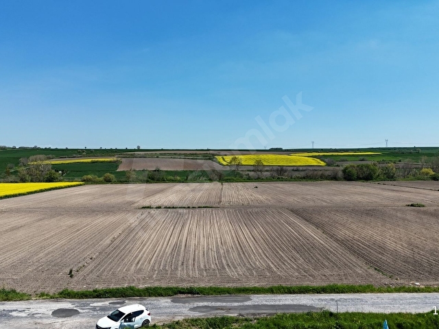 BABAESKİ MÜSELLİM DE 2991 M2 ASFALT CEPHE SATILIK TARLA - Görsel 3