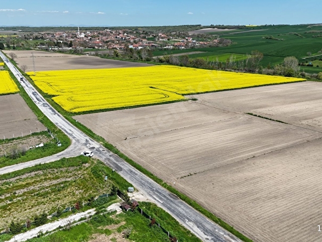 BABAESKİ MÜSELLİM DE 2991 M2 ASFALT CEPHE SATILIK TARLA - Görsel 6