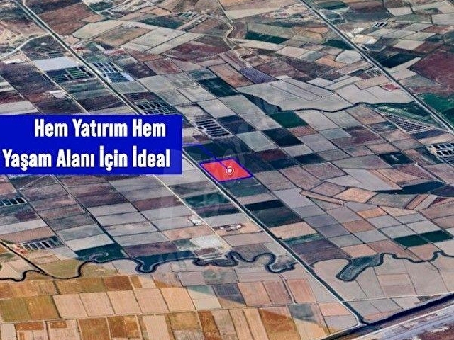 Milas Avşar Köyünde 27 dönüm tarla - Görsel 2