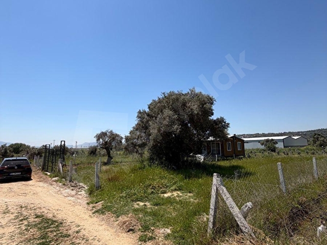 KRV İNŞAAT EMLAKTAN ORTAKÖY MAH SATILIK 320 m2 BAHÇE VE ZEYTİNLİK - Görsel 3