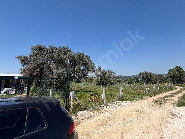 KRV İNŞAAT EMLAKTAN ORTAKÖY MAH SATILIK 320 m2 BAHÇE VE ZEYTİNLİK - Görsel 4