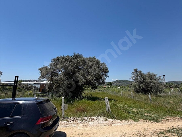 KRV İNŞAAT EMLAKTAN ORTAKÖY MAH SATILIK 320 m2 BAHÇE VE ZEYTİNLİK - Görsel 5