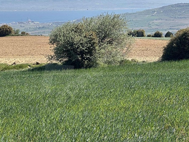 RESMİ İMARLI YOLA CEPHE, BOĞAZI GÖRÜYOR, MUHTEŞEM MANZARA - Görsel 18