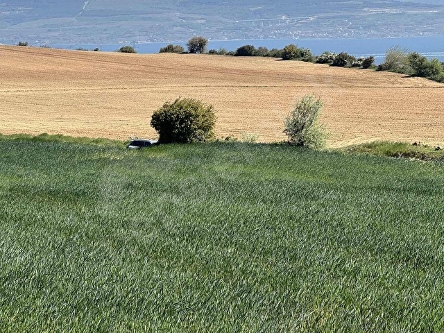 RESMİ İMARLI YOLA CEPHE, BOĞAZI GÖRÜYOR, MUHTEŞEM MANZARA - Görsel 20