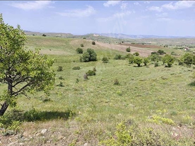 PERTEK TUNCELİ YOLUNA 1.5 KM MESAFEDE MÜSTAKİL ARAZİ - Görsel 9
