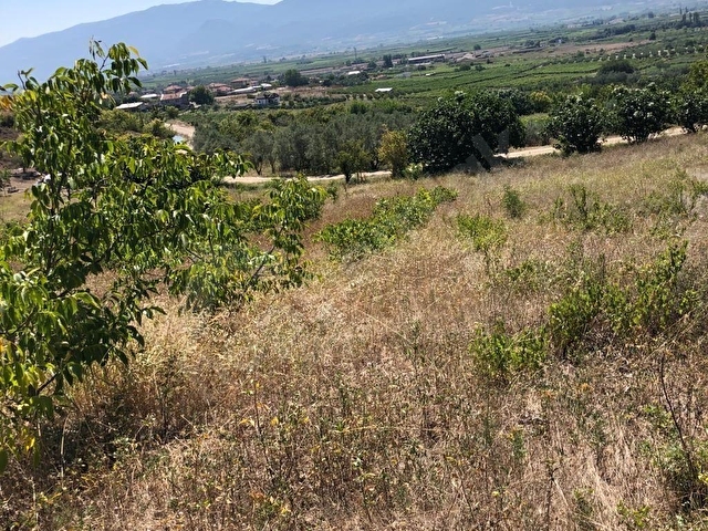 PAMUKOVA ŞEYHVARMAZ MAH. YERLEŞİME YAKIN 3215 M2 TARLA - Görsel 3