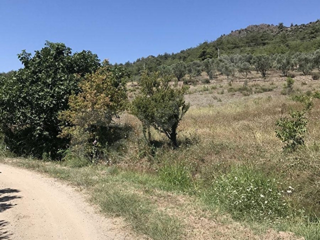 PAMUKOVA ŞEYHVARMAZ MAH. YERLEŞİME YAKIN 3215 M2 TARLA