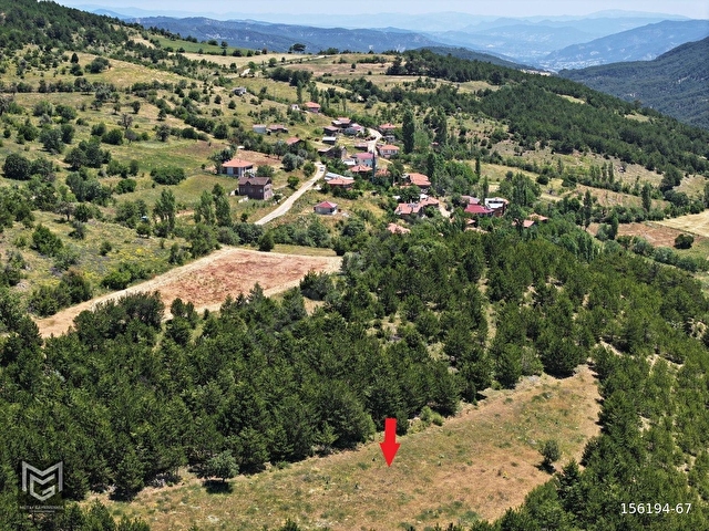 GÖYNÜK  İMAR SINIRINDA DOĞA MANZARALI 2.998 m2 - Görsel 6
