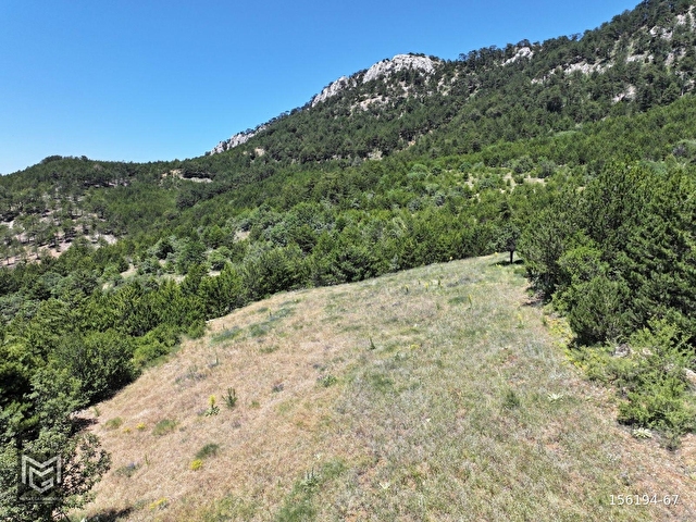 GÖYNÜK  İMAR SINIRINDA DOĞA MANZARALI 2.998 m2 - Görsel 12