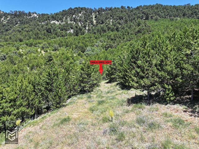 GÖYNÜK  İMAR SINIRINDA DOĞA MANZARALI 2.998 m2 - Görsel 16