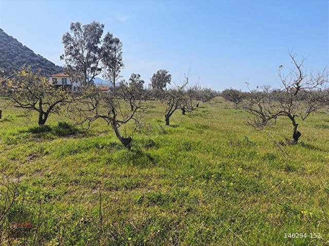 NYSA EMLAKTAN SATILIK 5.100 M2 ŞAHSİ TAPU TARLA - Görsel 6