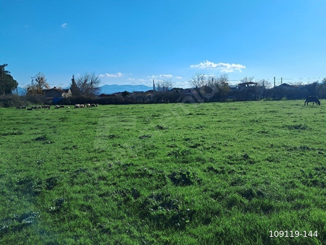 BAYINDIR ARIKBAŞINDA 2180 M2 SATILIK ARSA - Görsel 4