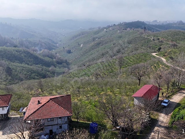 DOĞAYLA İÇ İÇE VERİMLİ FINDIKLIK AKÇAKOCADA SATILIK - Görsel 9