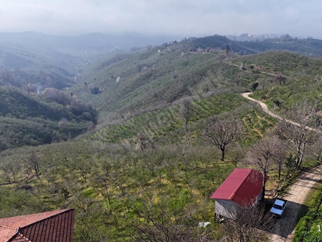 DOĞAYLA İÇ İÇE VERİMLİ FINDIKLIK AKÇAKOCADA SATILIK - Görsel 10