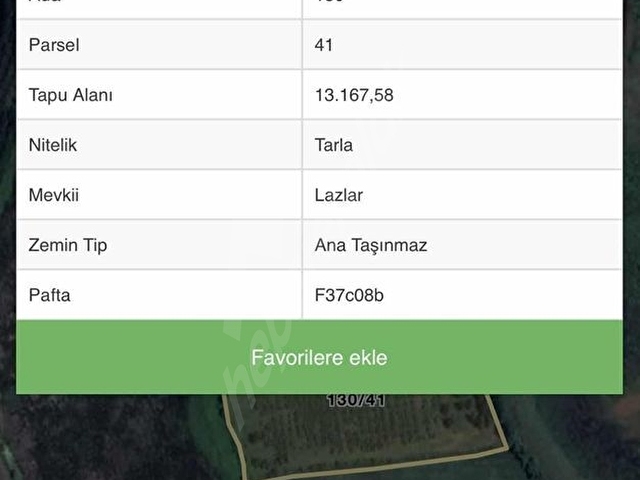 Samsun Terme Yenicamide Satılık Fındıklık - Görsel 2