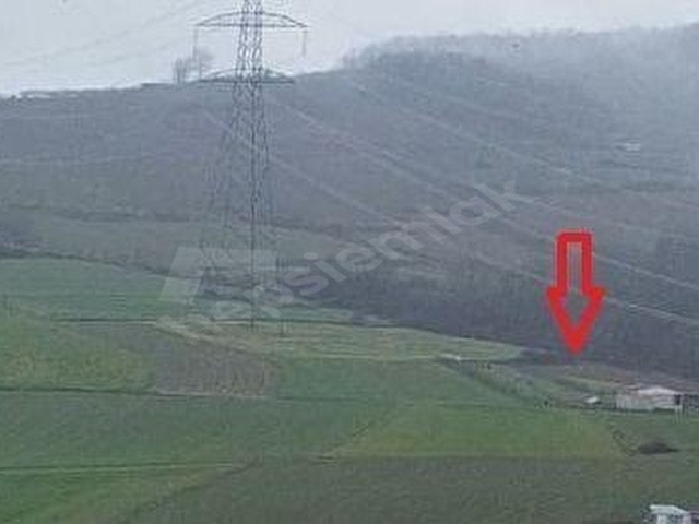 KANDIRA PELİTPINAR KÖYE YAKIN MANZARALI 3235 M2 FIRSAT ARAZİ - Görsel 4