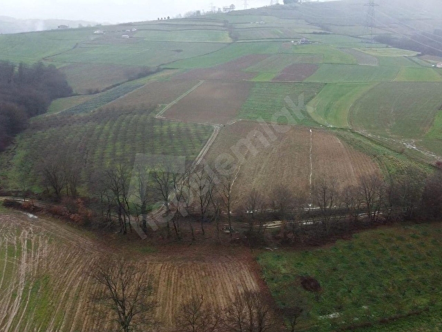 KANDIRA PELİTPINAR KÖYE YAKIN MANZARALI 3235 M2 FIRSAT ARAZİ